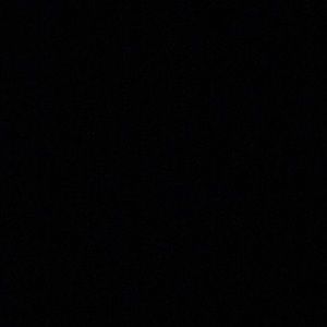 Meet your Posher, Jax